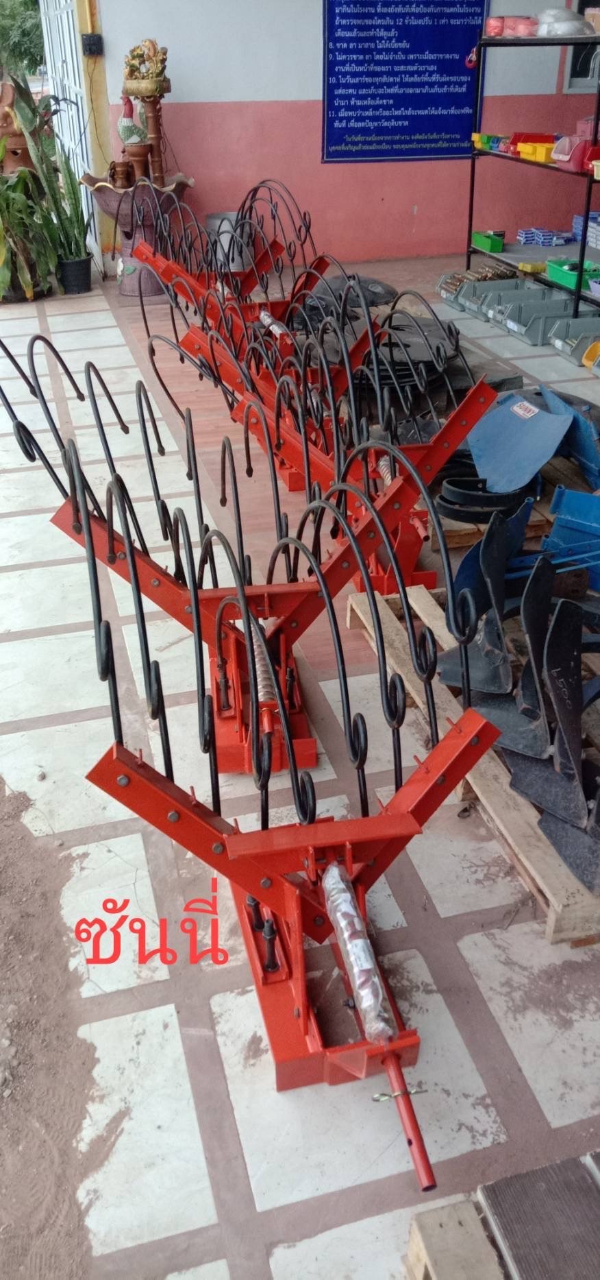 หนวดกุ้ง